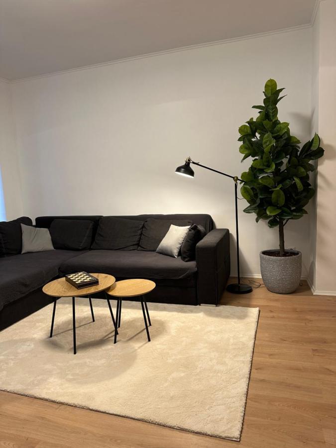 Ferienwohnung Haus Paraschiv Aue  Dış mekan fotoğraf